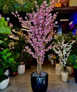 Cerisier en Fleurs Pink 180 cm