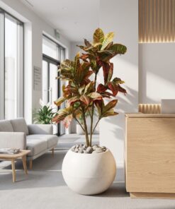 Croton Tree Red 120 cm styled in an interior — Neon Jungle Studios