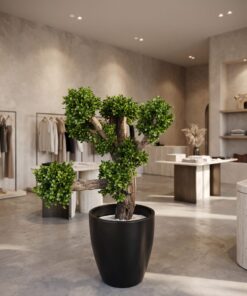 Custom Bonsai Tree 140*140*70 styled in an interior — Neon Jungle Studios