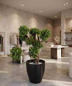 Custom Bonsai Tree 140*140*70 styled in an interior — Neon Jungle Studios