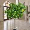 Custom Lemon Tree with real wood trunk170 cm styled in an interior — Neon Jungle Studios