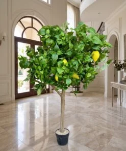 Custom Lemon Tree with real wood trunk170 cm styled in an interior — Neon Jungle Studios