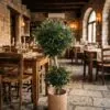 Custom Olive Bonsai 100 cm styled in an interior — Neon Jungle Studios