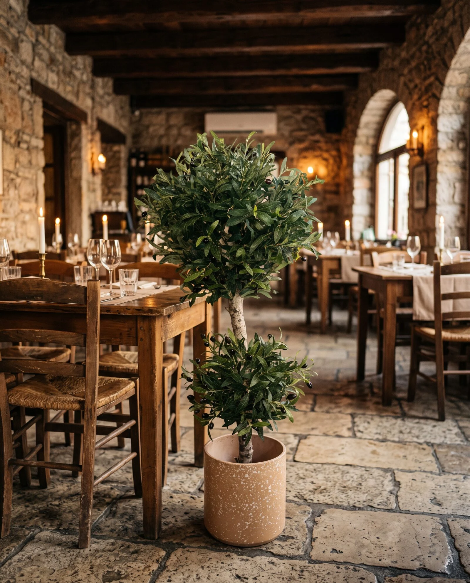 Custom Olive Bonsai 100 cm styled in an interior — Neon Jungle Studios