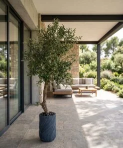 Custom Olive Tree 180*100 cm styled in an interior — Neon Jungle Studios