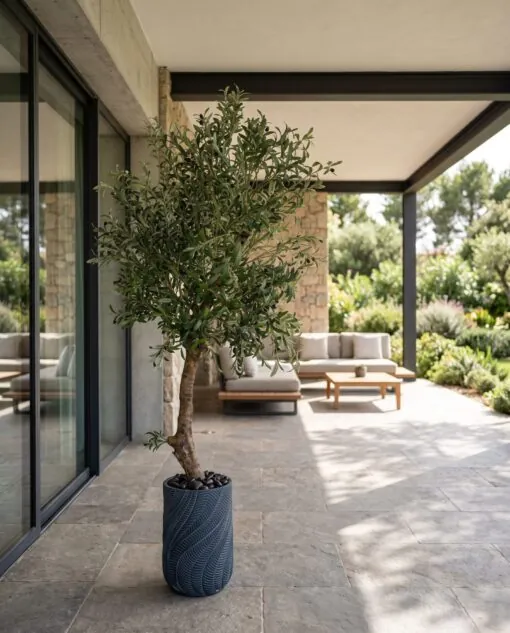 Custom Olive Tree 180*100 cm styled in an interior — Neon Jungle Studios