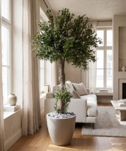 Custom Olive Tree 200*130 styled in an interior — Neon Jungle Studios