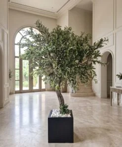 Custom Olive Tree 230*150 styled in an interior — Neon Jungle Studios