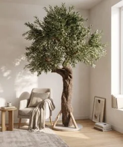 Custom Olive Tree 240*190 cm styled in an interior — Neon Jungle Studios