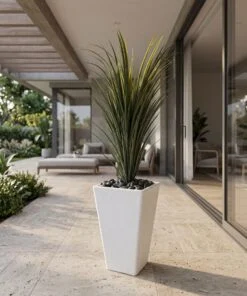 Dracaena Marginata 100 cm styled in an interior — Neon Jungle Studios