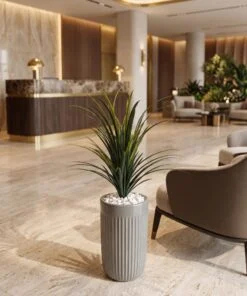 Dracaena Marginata 45 cm styled in an interior — Neon Jungle Studios