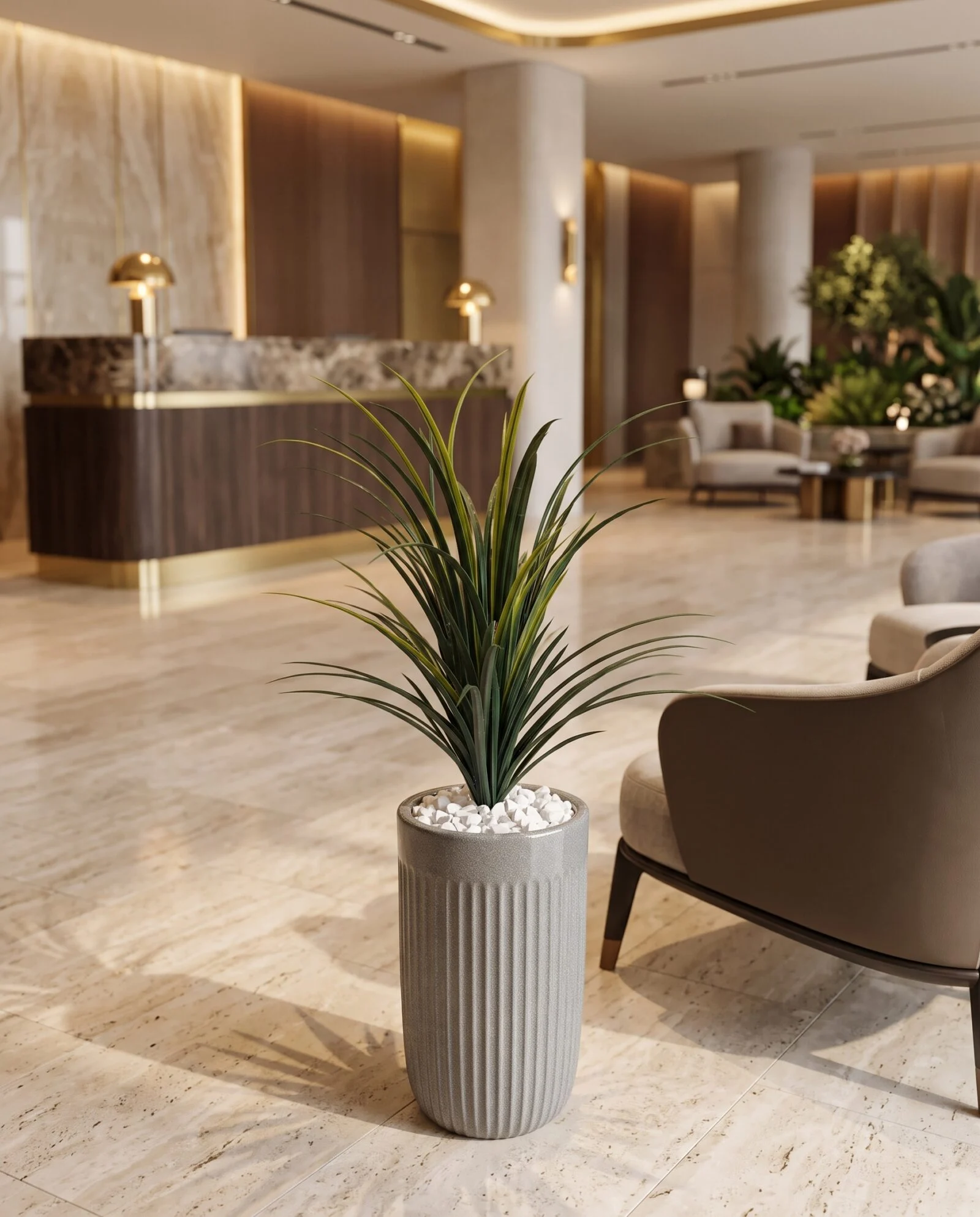 Dracaena Marginata 45 cm styled in an interior — Neon Jungle Studios