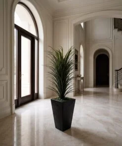 Dracaena Marginata 70 cm styled in an interior — Neon Jungle Studios