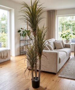 Dracaena Palm 3 trunks with dried leaves 180 cm styled in an interior — Neon Jungle Studios