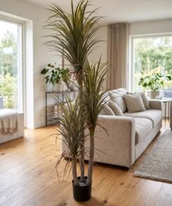 Dracaena Palm 3 trunks with dried leaves 180 cm styled in an interior — Neon Jungle Studios