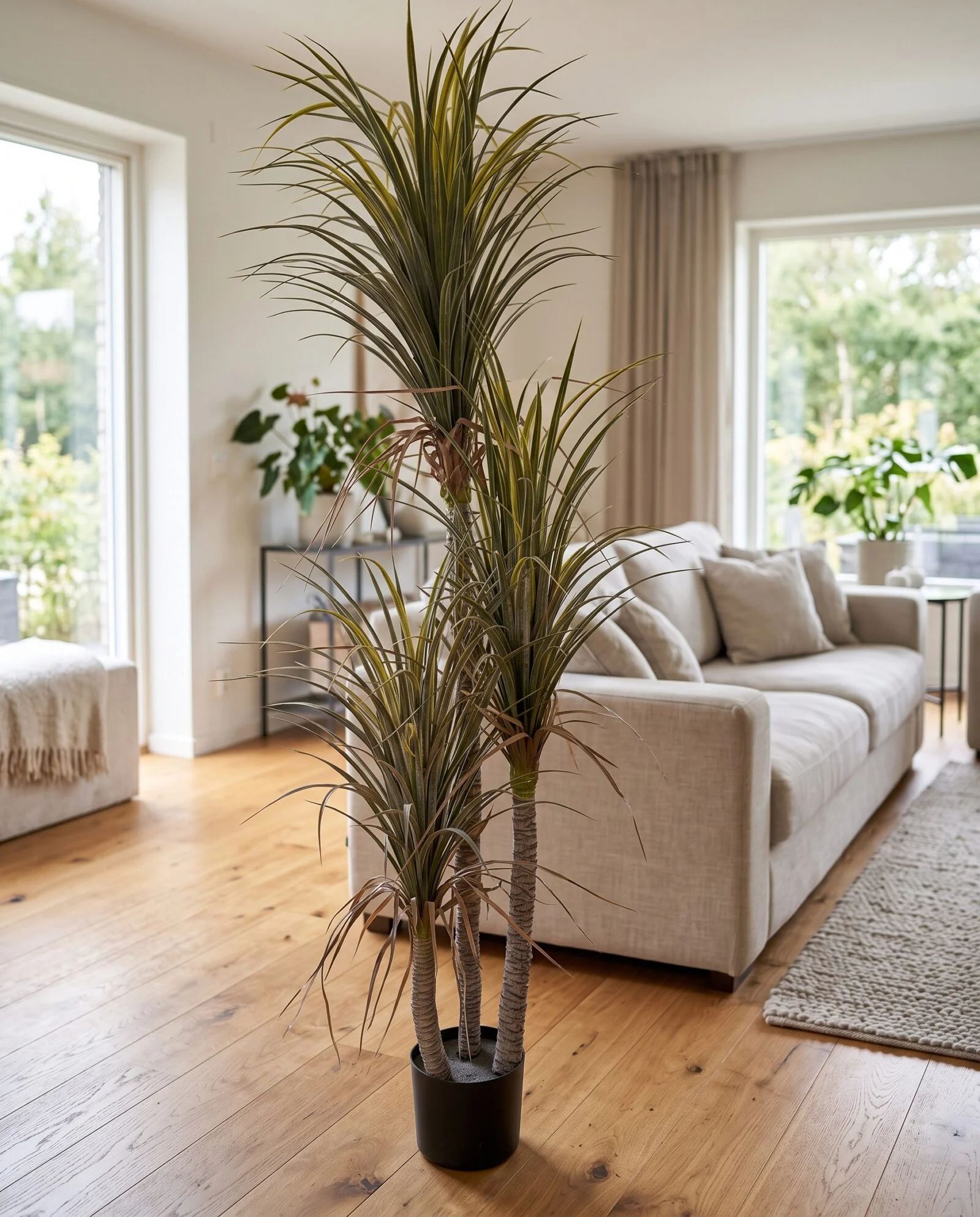 Dracaena Palm 3 trunks with dried leaves 180 cm styled in an interior — Neon Jungle Studios