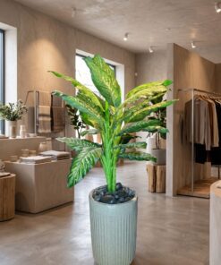 Dumbcane 120 cm styled in an interior — Neon Jungle Studios