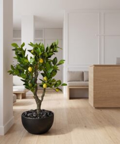 Dwarf Lemon Tree 90 cm styled in an interior — Neon Jungle Studios