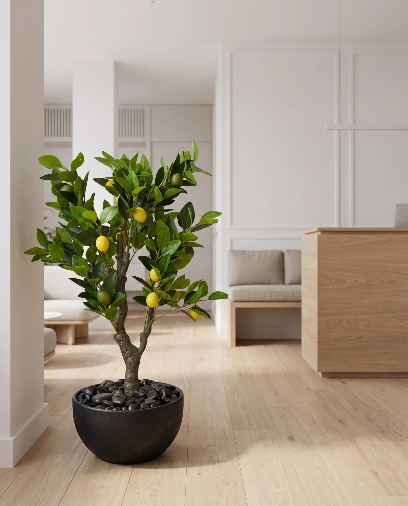 Dwarf Lemon Tree 90 cm styled in an interior — Neon Jungle Studios
