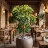 Ficus Benjamina 120 cm styled in an interior — Neon Jungle Studios