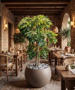 Ficus Benjamina 120 cm styled in an interior — Neon Jungle Studios