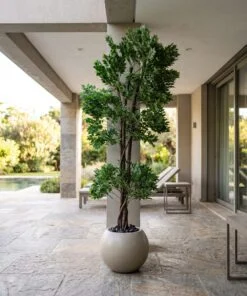 Ficus Benjamina 190 cm styled in an interior — Neon Jungle Studios