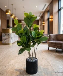 Ficus Lyrata 100 cm styled in an interior — Neon Jungle Studios
