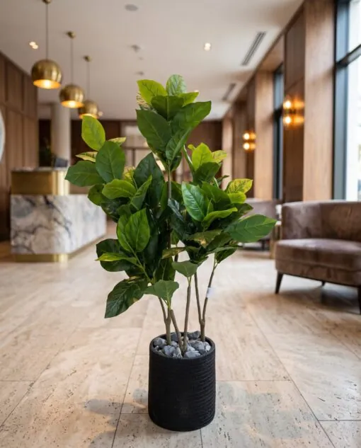 Ficus Lyrata 100 cm styled in an interior — Neon Jungle Studios