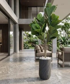 Ficus Lyrata 160 cm styled in an interior — Neon Jungle Studios