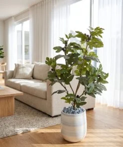 Fig Tree 125 cm styled in an interior — Neon Jungle Studios