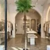 Fishtail Palm 230 cm styled in an interior — Neon Jungle Studios