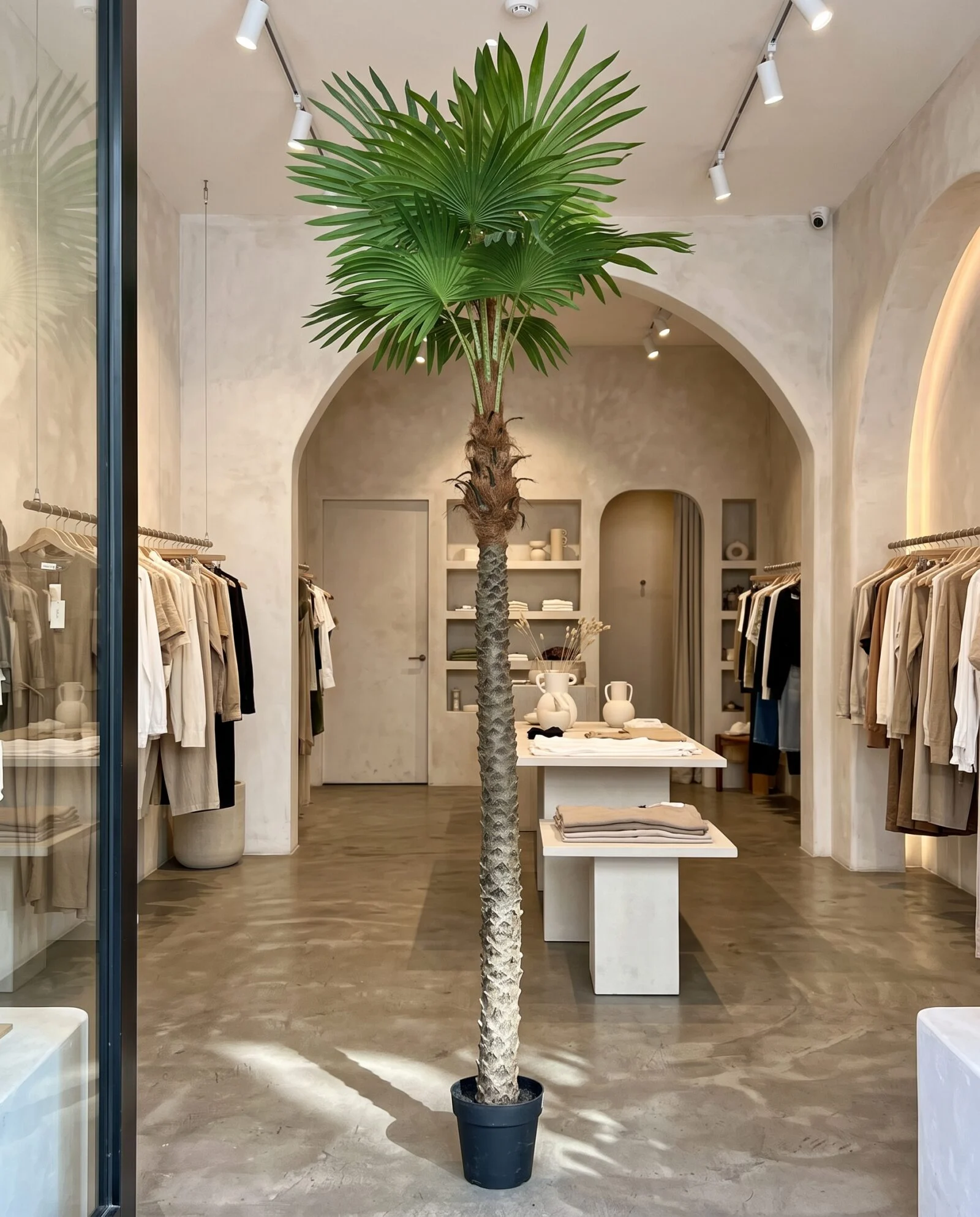 Fishtail Palm 230 cm styled in an interior — Neon Jungle Studios