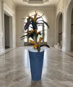 Fruticosa Plant 60 cm styled in an interior — Neon Jungle Studios