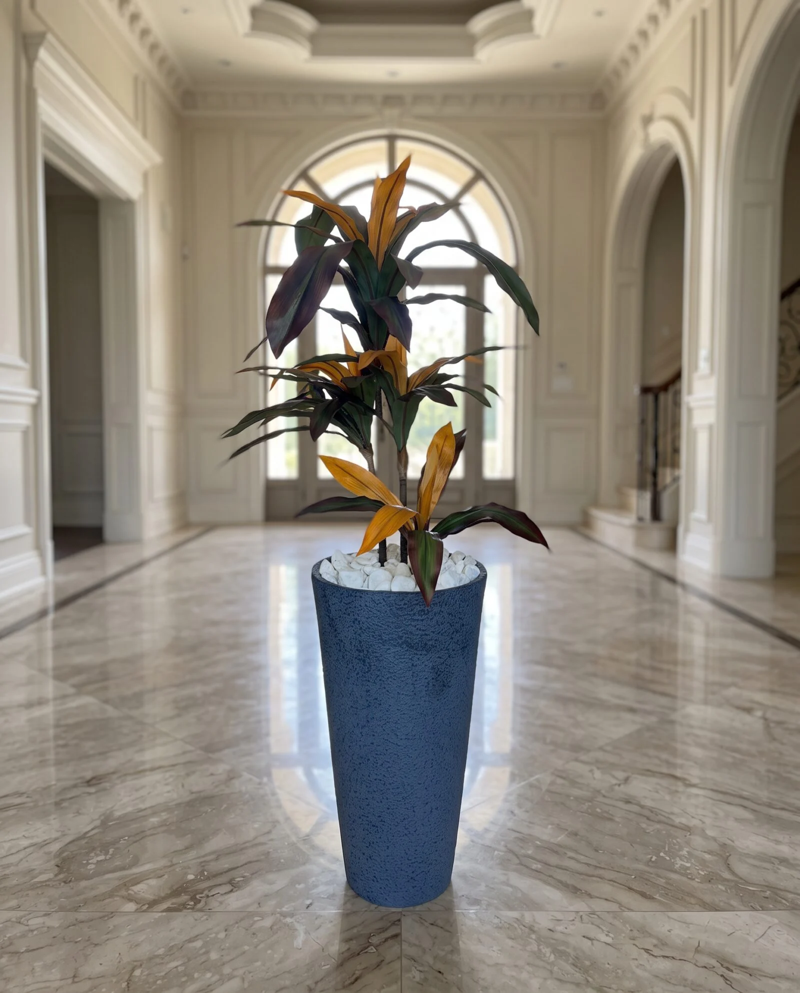 Fruticosa Plant 60 cm styled in an interior — Neon Jungle Studios