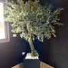 Olivier 230*150 sur mesure