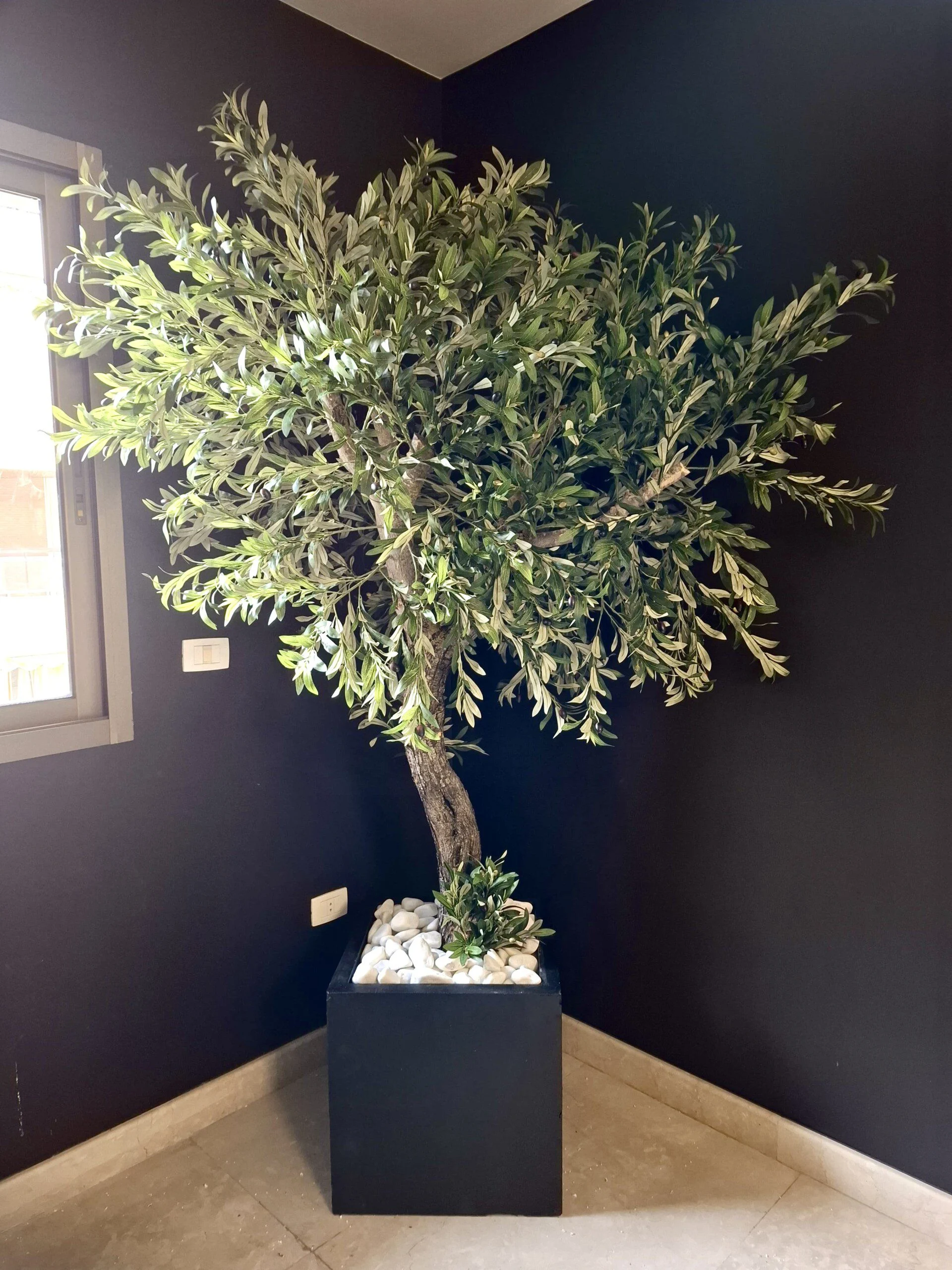 Olivier 230*150 sur mesure