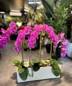 Orchidée Arrangement avec planter