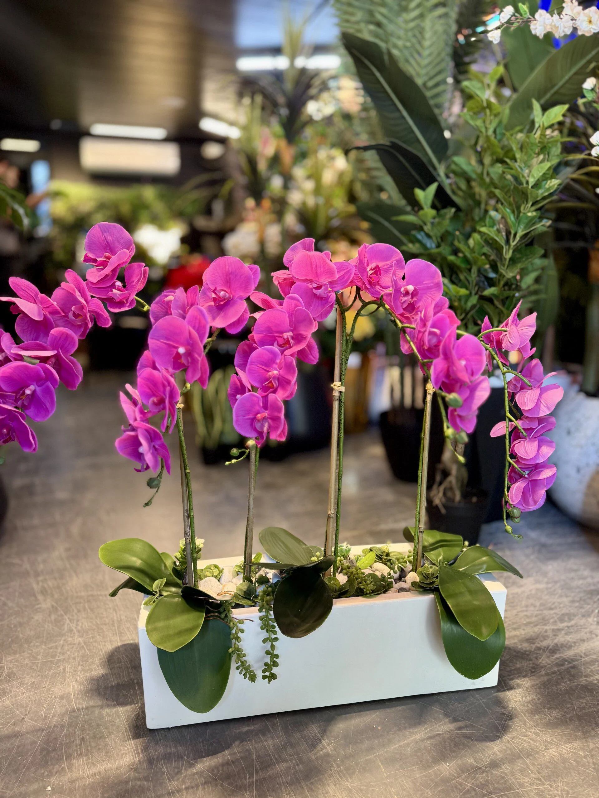 Orchidée Arrangement avec planter