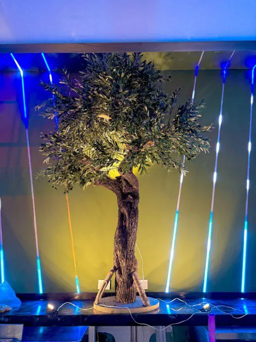 Olivier sur mesure 240×190 cm