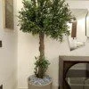 Olivier 200*130 sur mesure