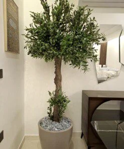Olivier 200*130 sur mesure