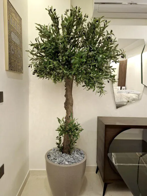 Olivier 200*130 sur mesure