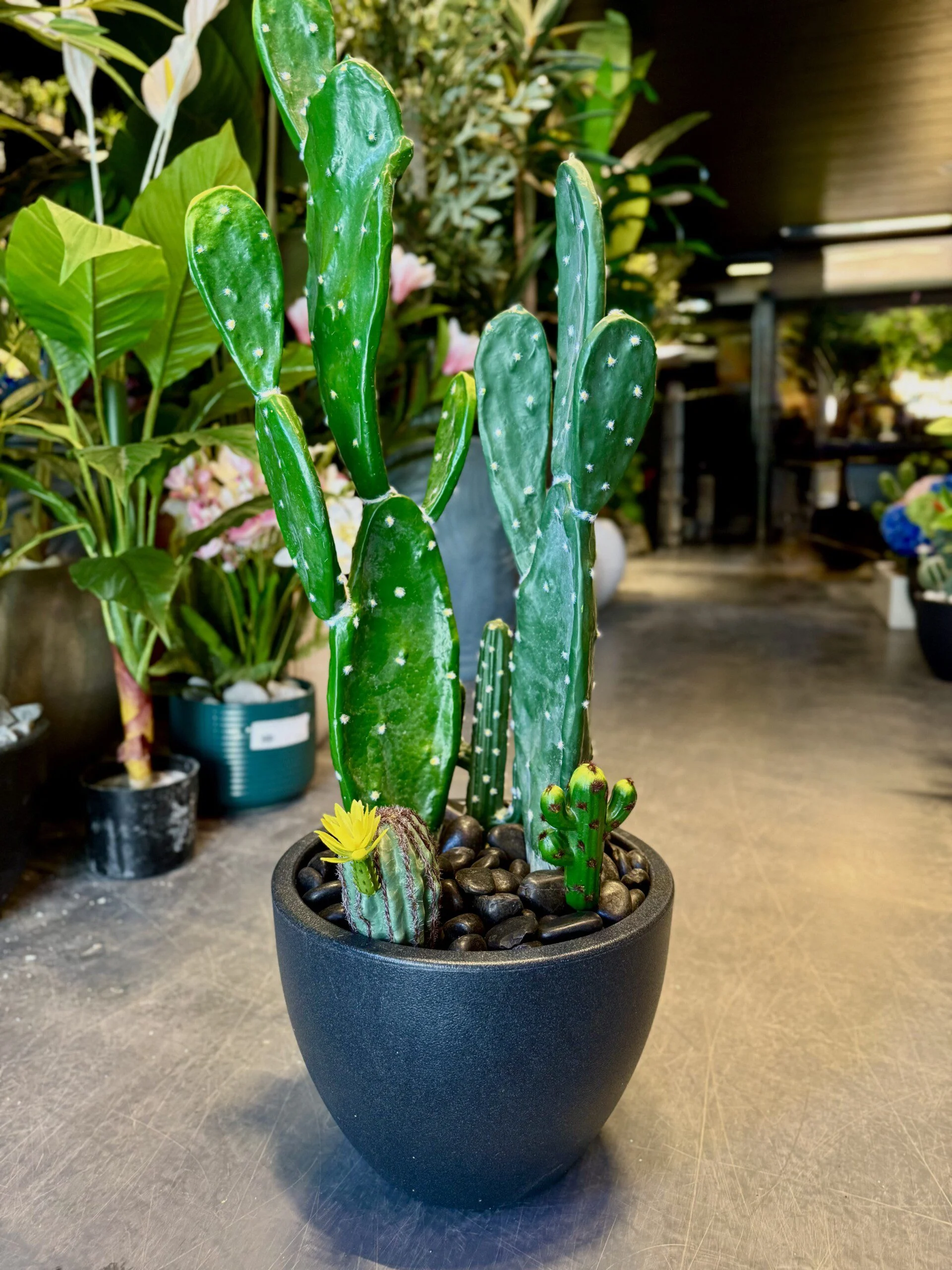 Cactus Arrangement avec planter B