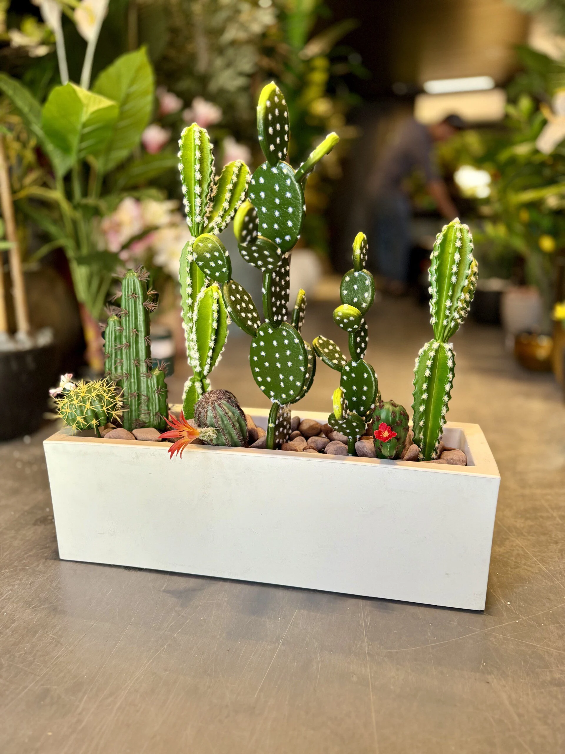 Cactus Arrangement avec planter C