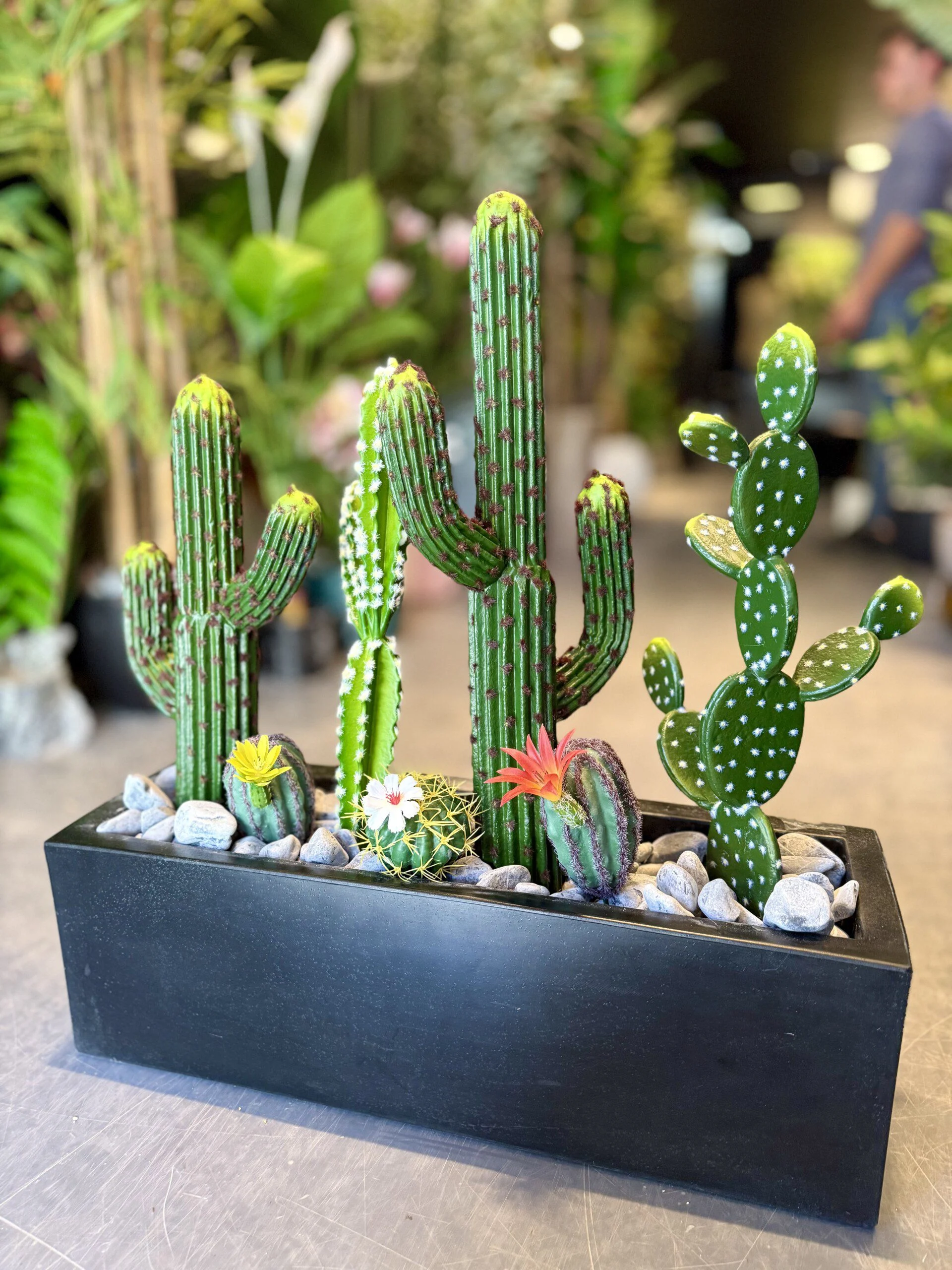 Cactus Arrangement avec planter D