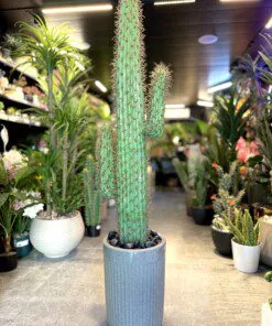 Cactus 140 cm