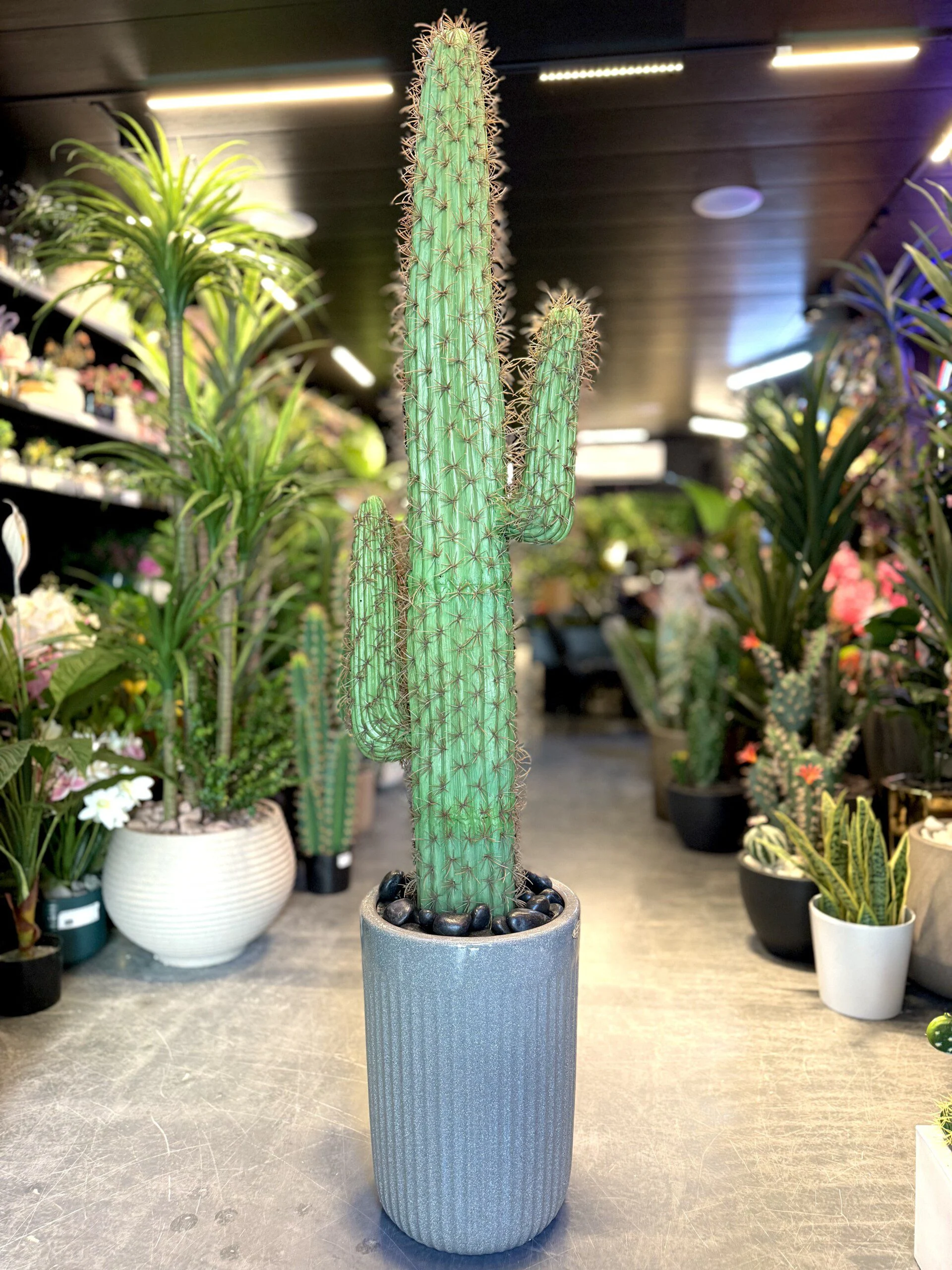 Cactus 140 cm