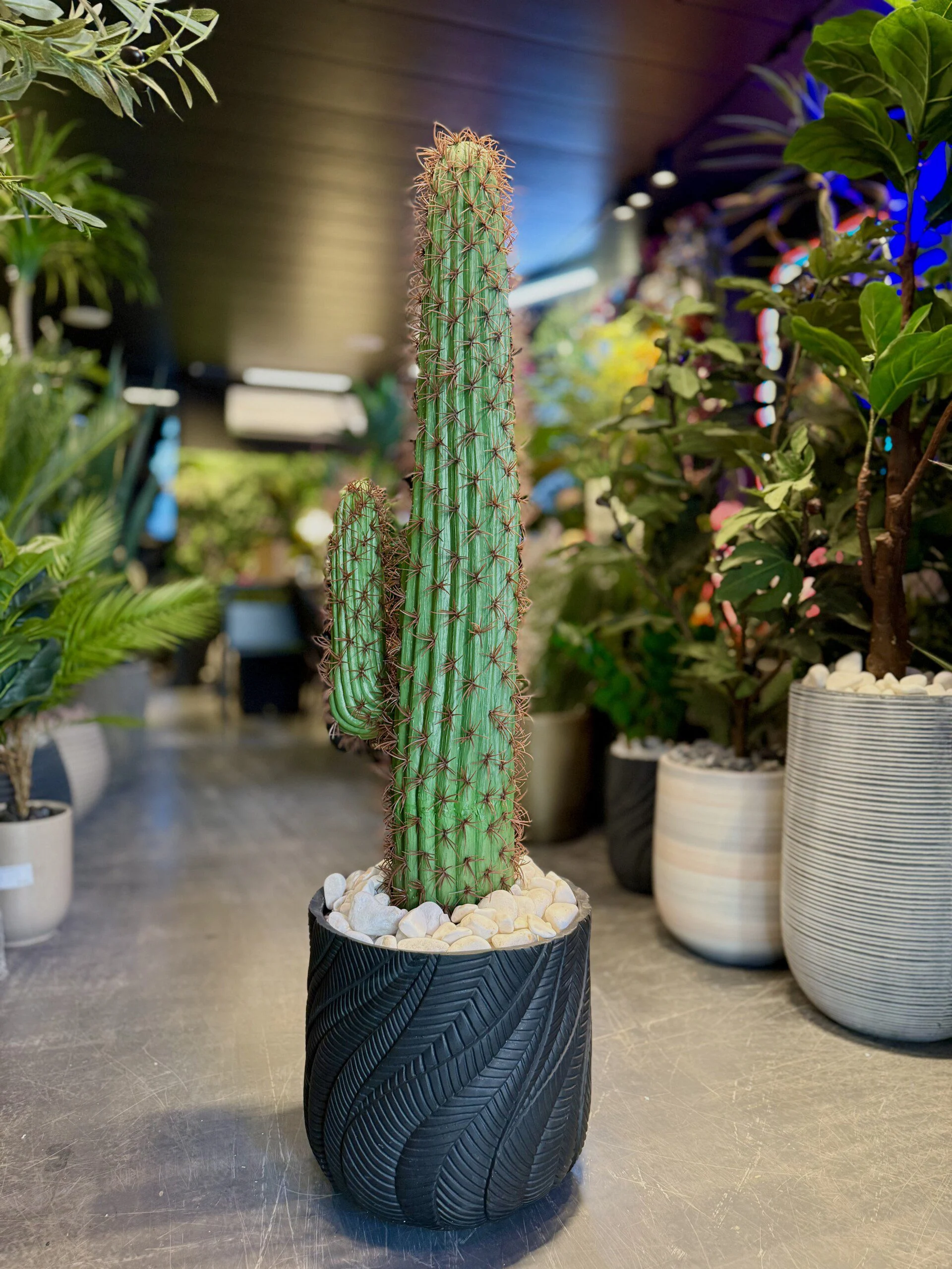 Cactus 110 cm