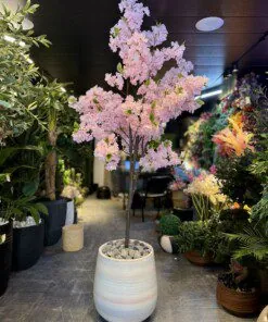 Cerisier en Fleurs Pink 190 cm