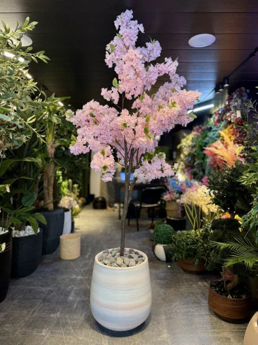 Cerisier en Fleurs Pink 190 cm